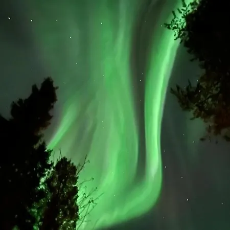 Sleepwell House Pyhaetunturi With Sauna Close To * Pelkosenniemi