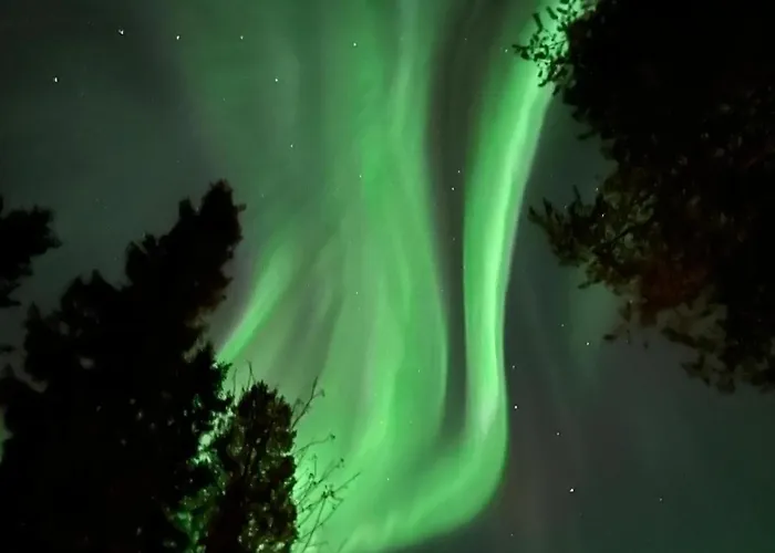 Sleepwell House Pyhaetunturi With Sauna Close To * Pelkosenniemi